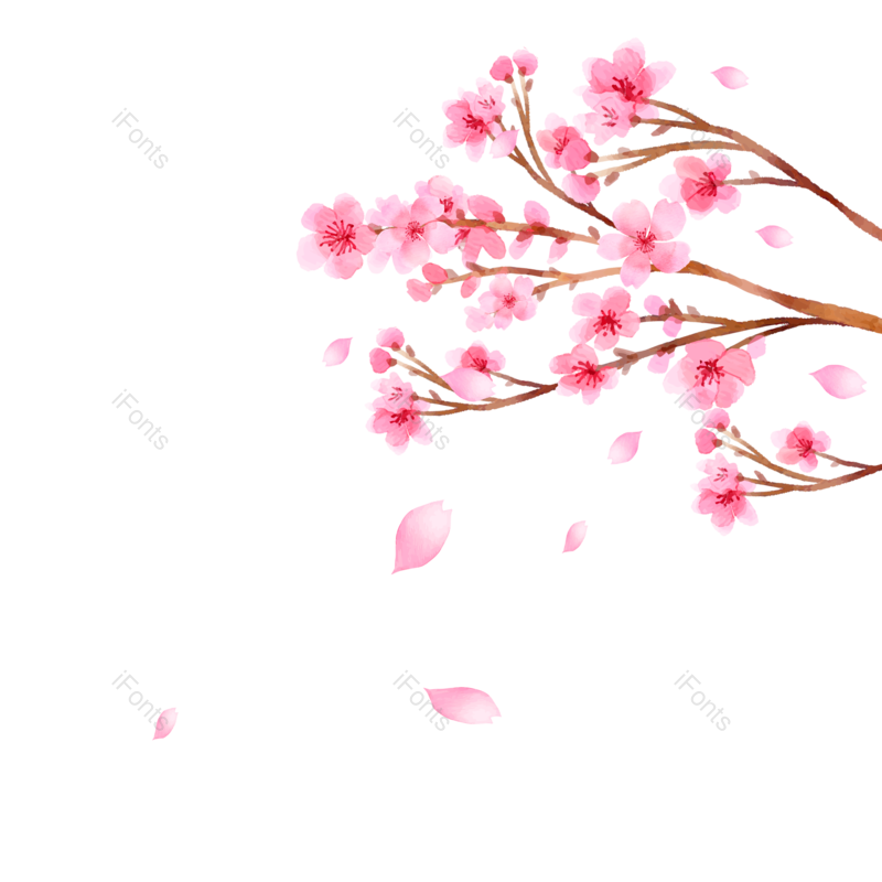 浪漫图片,浪漫装饰元素,鲜花PNG,花朵素材免抠素材